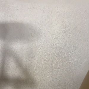 Meet your Posher, Dylan